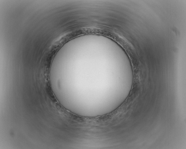 X0000115480870200911271326