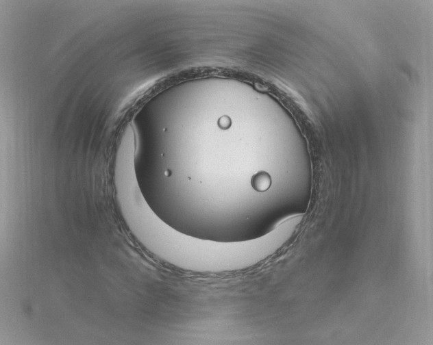 X0000115480872200911271326