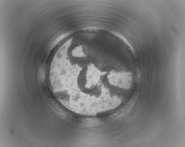 X0000115480874200911271326