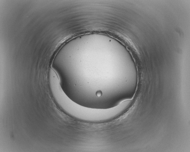 X0000115480881200911271326