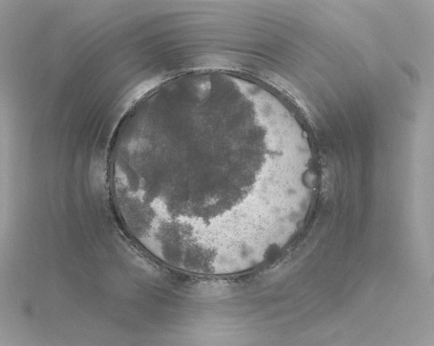 X0000115480882200911271326