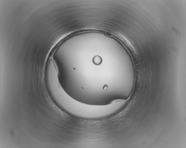 X0000115480884200911271326