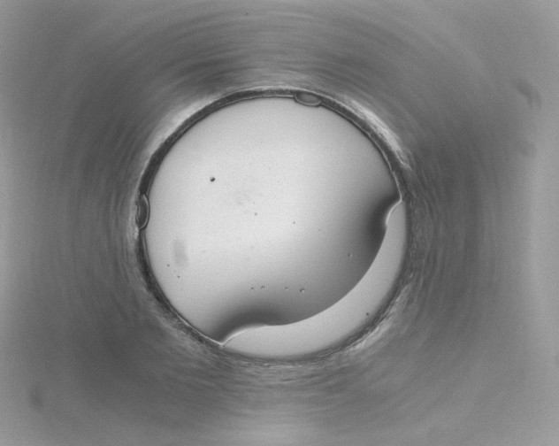 X0000115480885200911271326