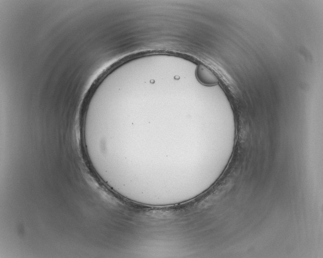 X0000115480888200911271326