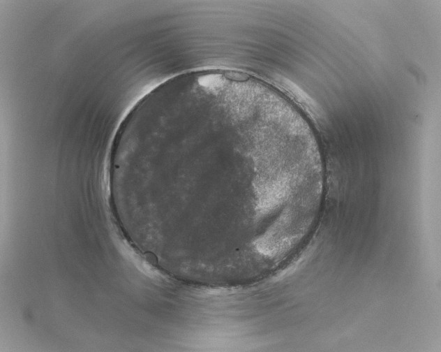 X0000115480892200911271326