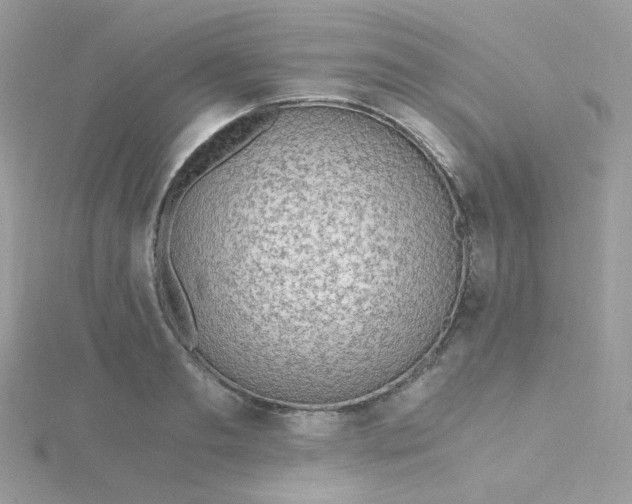 X0000115480893200911271326