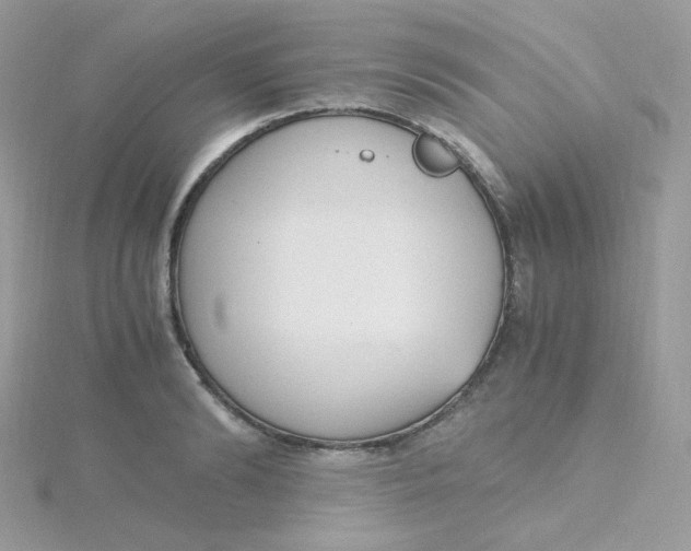 X0000115480894200911271326