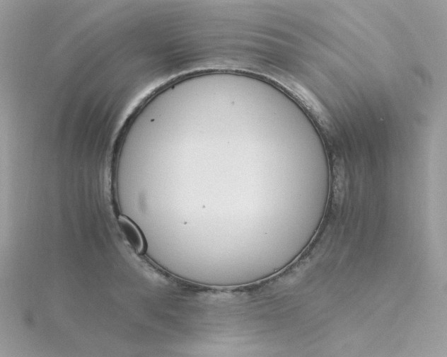 X0000115480896200911271326