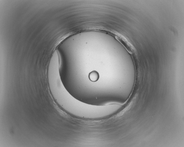 X0000115480897200911271326