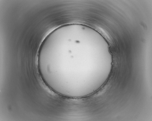 X0000115480900200911271326