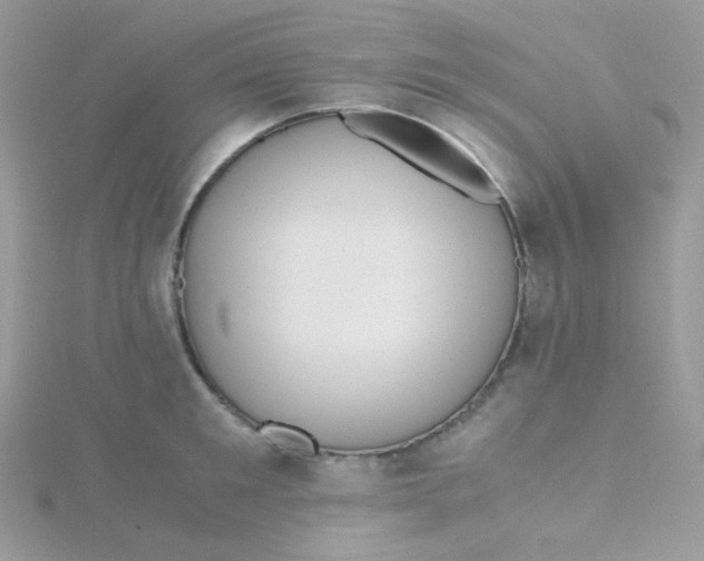 X0000115480901200911271326