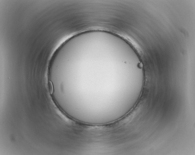 X0000115480902200911271326