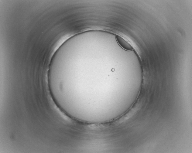 X0000115480906200911271326