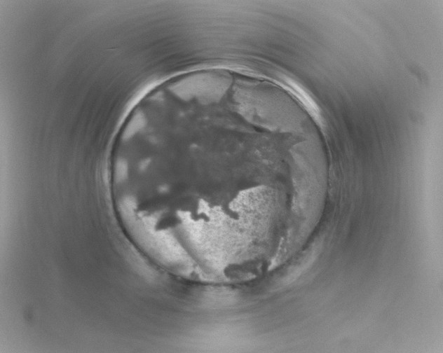 X0000115480907200911271326