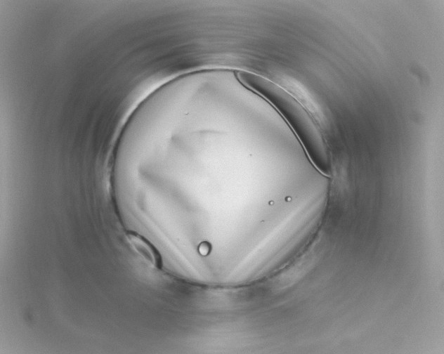 X0000115480908200911271326