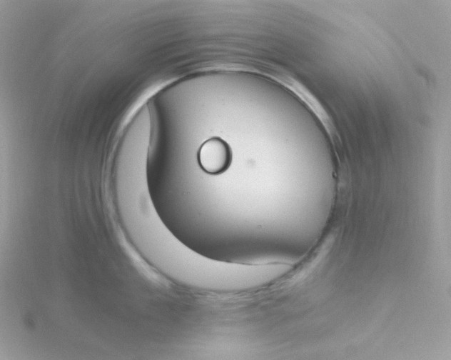 X0000115480909200911271326