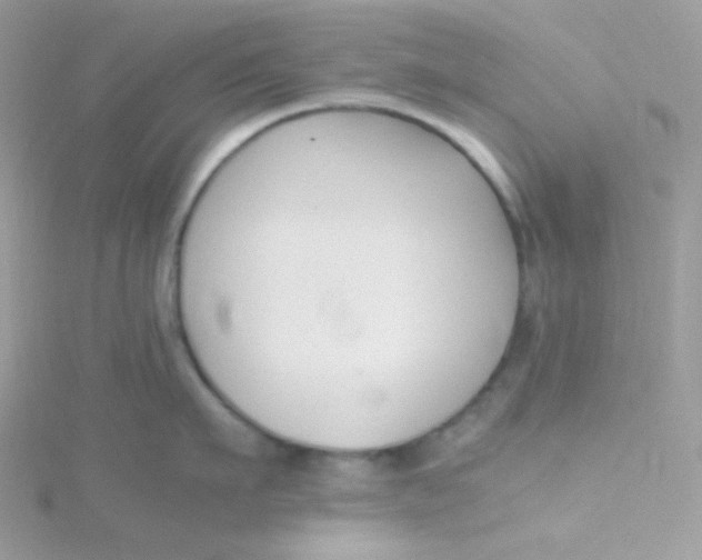 X0000115480911200911271326