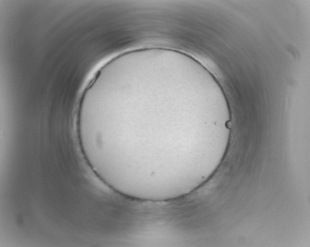 X0000115480912200911271326