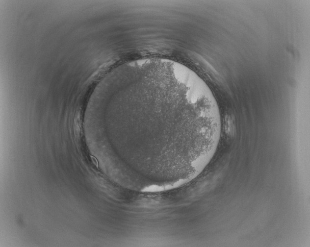 X0000115480915200911271325