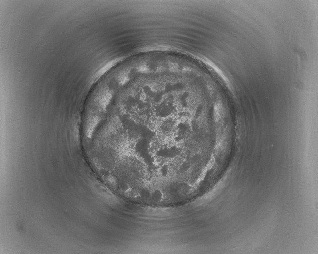 X0000115480921200911271325