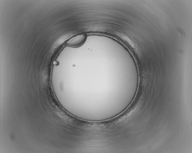 X0000115480922200911271325