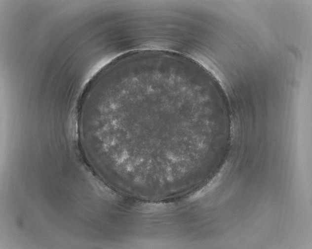 X0000115480925200911271325