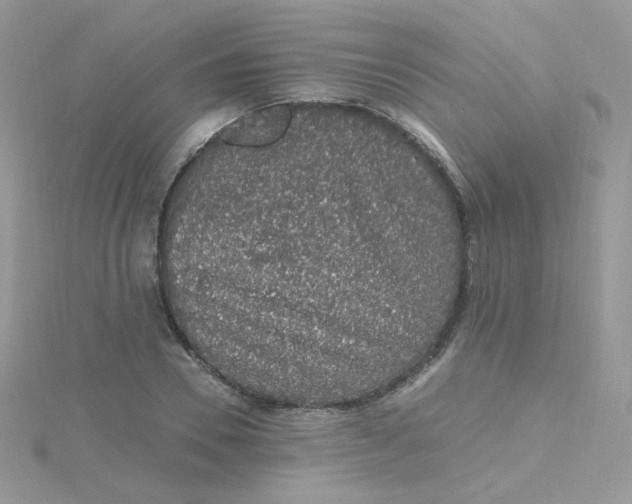 X0000115480930200911271325