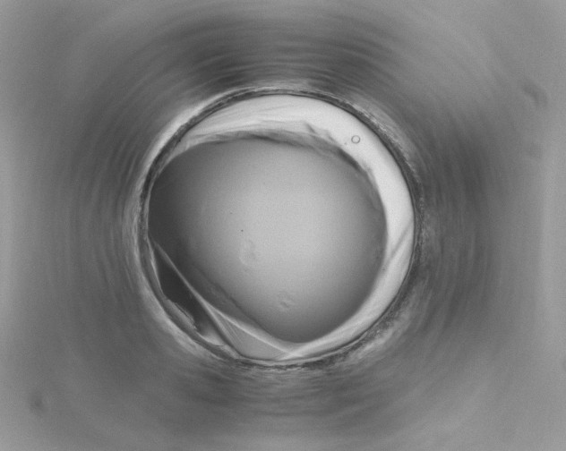 X0000115480941200911271325