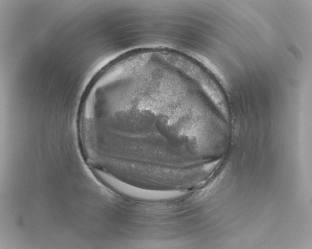 X0000115480943200911271325