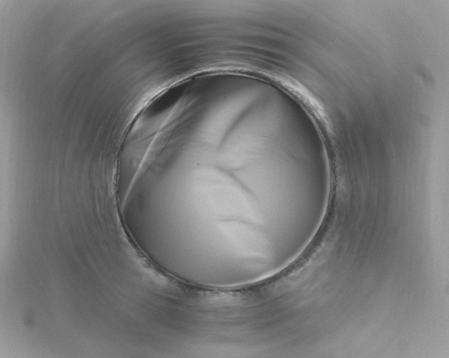 X0000115480945200911271325