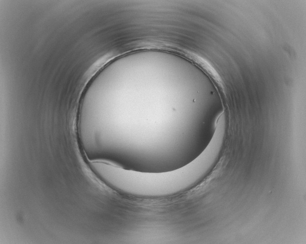 X0000115480946200911271325