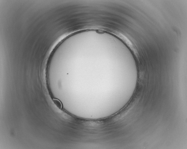 X0000115480947200911271325