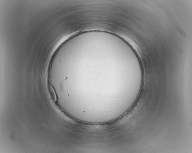 X0000115480949200911271325