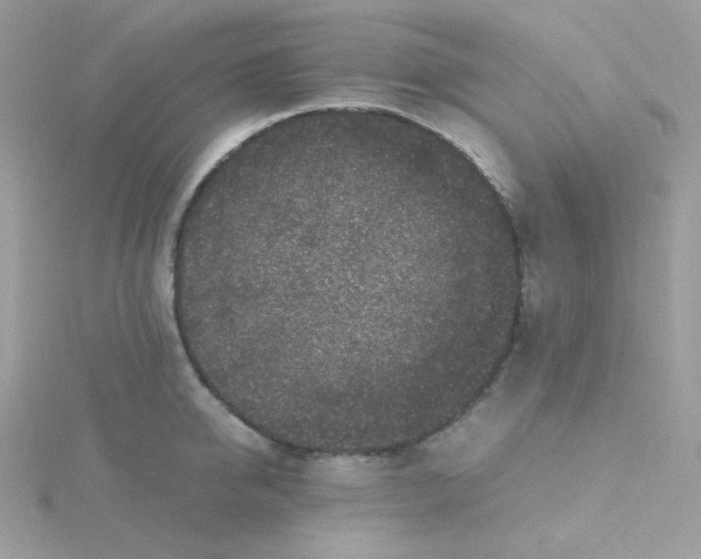 X0000115480950200911271325