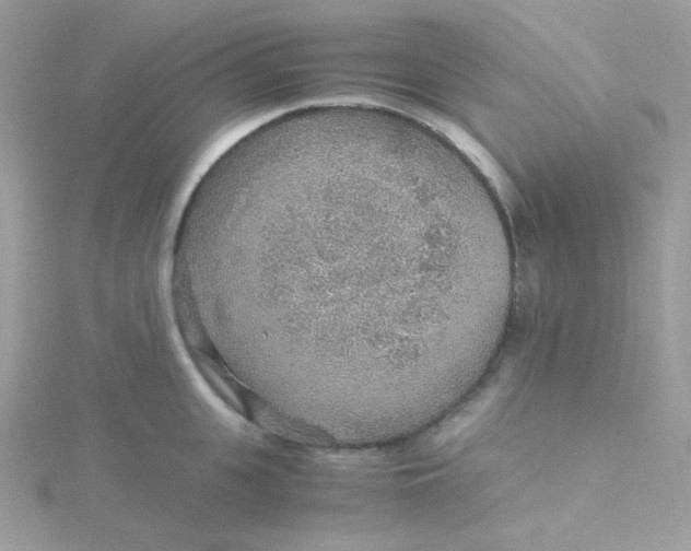 X0000115480951200911271325