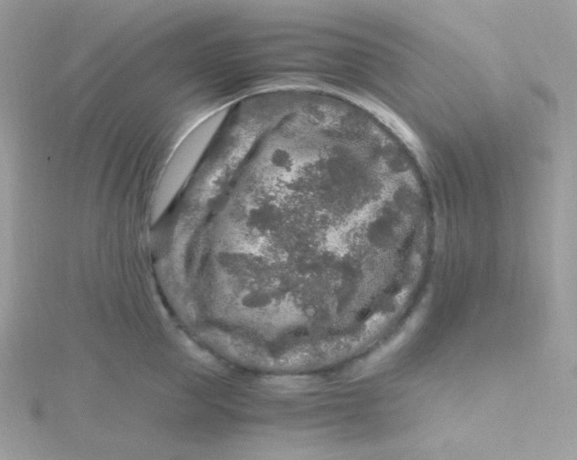 X0000115480953200911271325