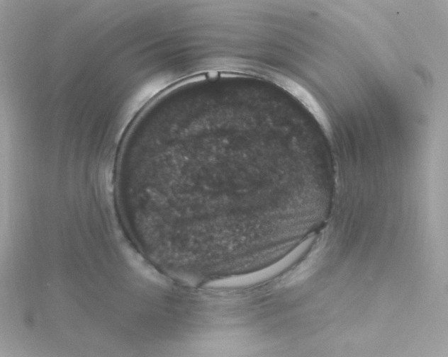 X0000115480954200911271325