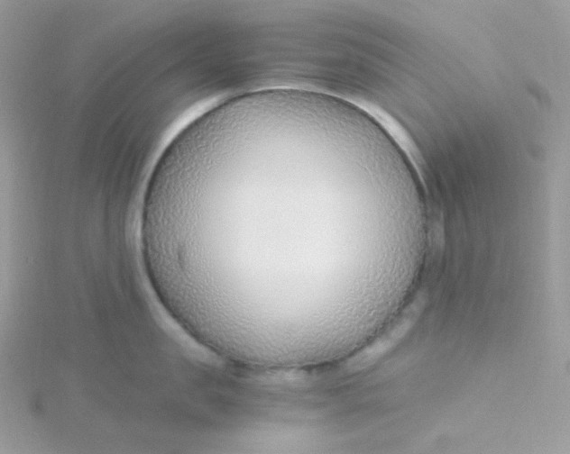 X0000115480957200911271325