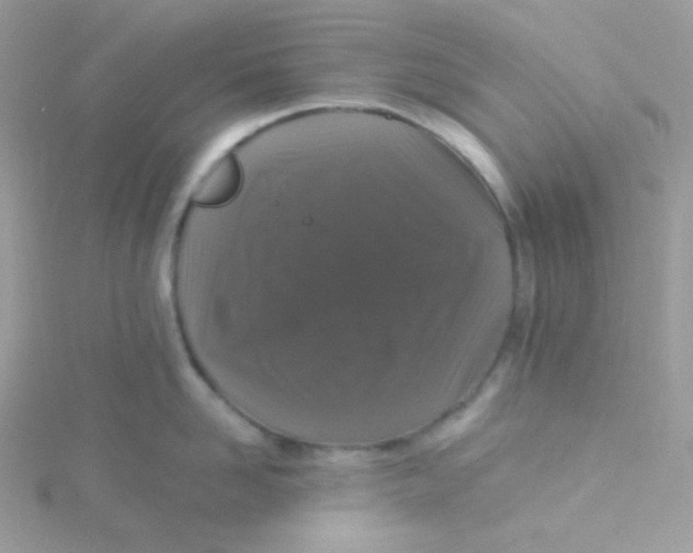 X0000115480958200911271325