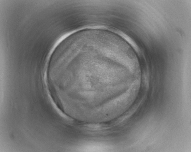 X0000115480959200911271325