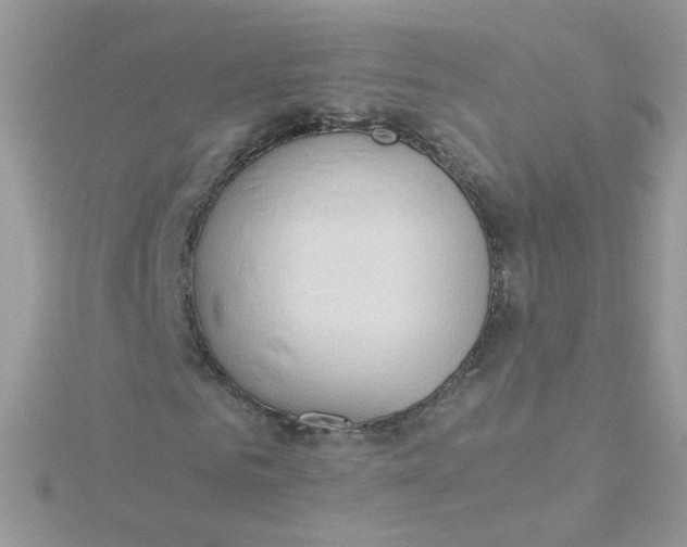 X0000115480961200911271325