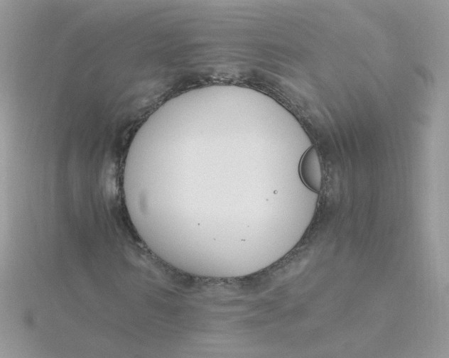 X0000115480962200911271325