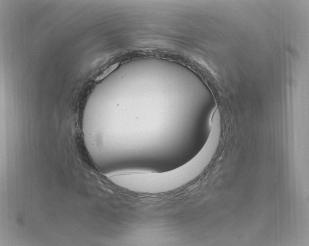 X0000115480965200911271325