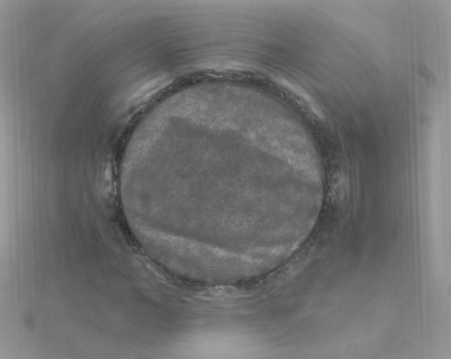 X0000115480966200911271325