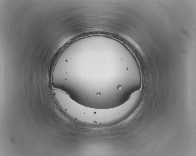 X0000115480969200911271325