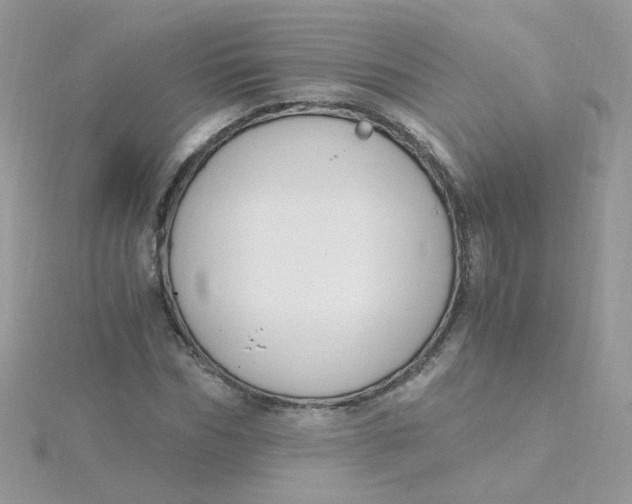 X0000115480970200911271325