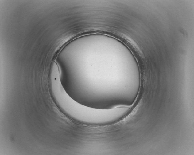 X0000115480977200911271325