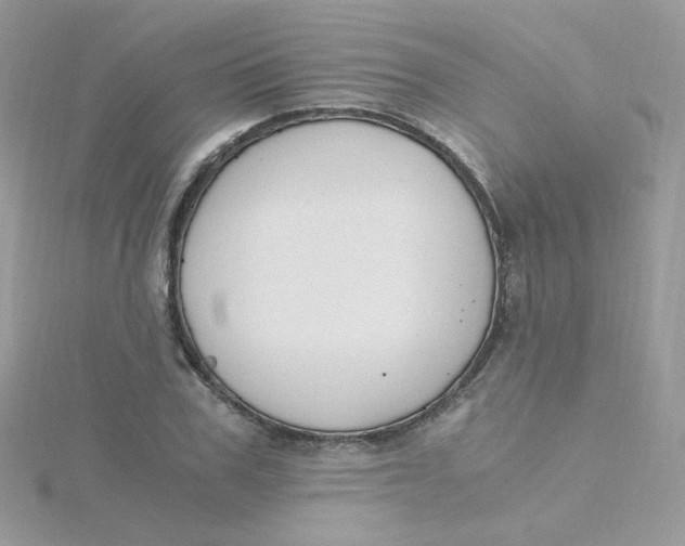 X0000115480979200911271325