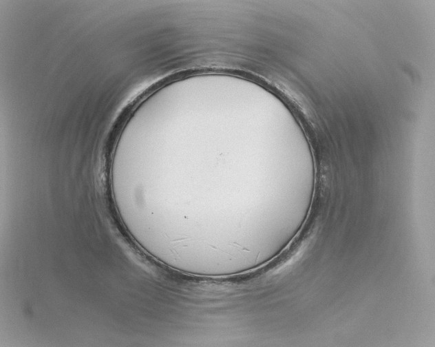 X0000115480981200911271325