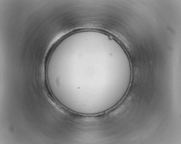 X0000115480982200911271325